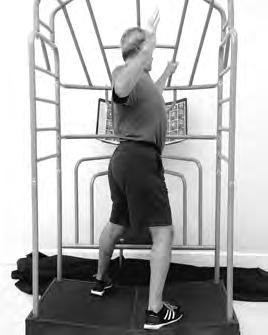 system forms a relationship with the cervical spine and the hip via the opposite shoulder girdle.