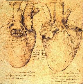 Leonardo DaVinci heart-surgeon.