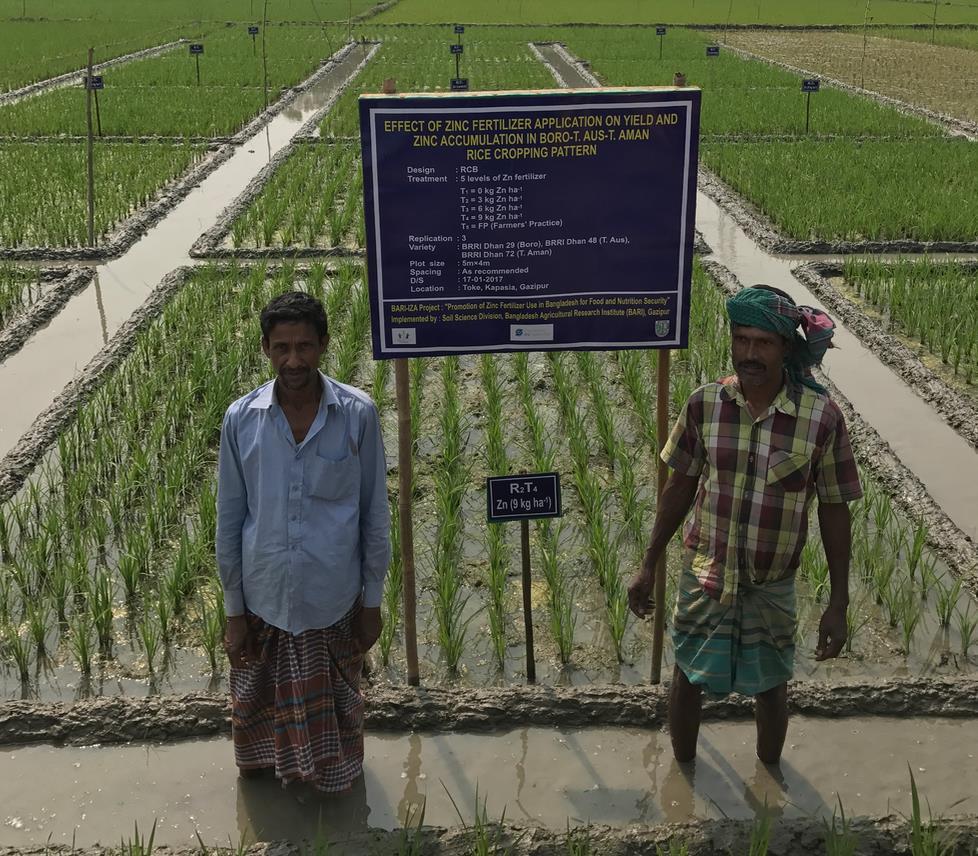 Promotion of Zinc Fertilizer Use in Bangladesh for Food and Nutrition