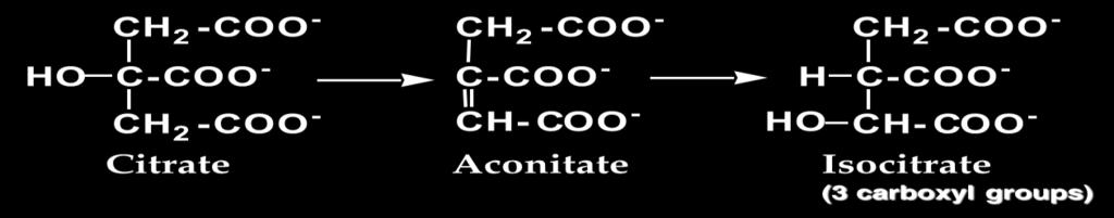 " Step 1: Formation of citrate by condensation of acetyl-coa with oxaloacetate; G = -32.