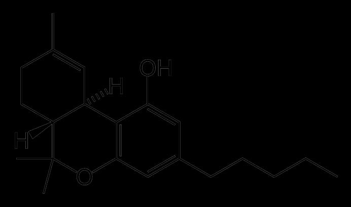 Cannabinoids: plant cannabinoids 9 -Tetrahydrocannabinol (THC) Major psychoactive molecule in marijuana Cannabidiol (CBD) Non-psychoactive cannabinoid with many medically useful properties Antiemetic