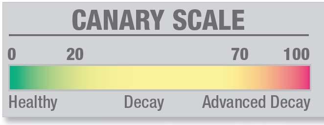 Canary Scale Source: The