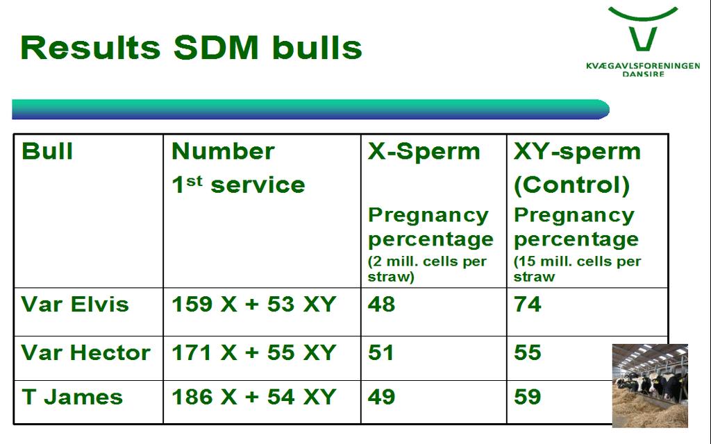 Conclusion The Danish and International Cattle breeders have great interest in the possibility of using sexed semen.