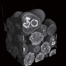 Granule (3) Granule (4) Pharmaceutical agent (5) CT Image 2.0mm CT Image 1.