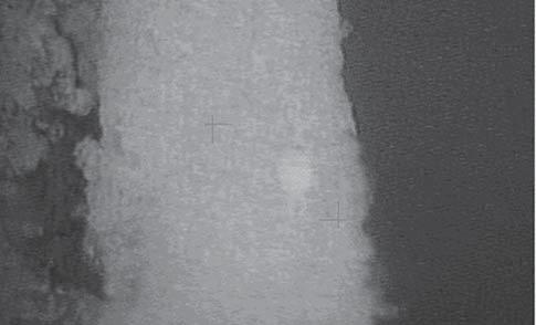 Laser : 532 nm Exposure Time : 20 sec Accumlation :1 Magnifi cation : 50 Datapoints : 13 11 = 143 Coating layer Fig. 7.5.1 Enlarged Photograph of Tablet Section Coating Layer Section Mapping Fig. 7.5.2 shows Raman spectra of the coating layer, in which (a) is the spectrum of the white-colored portion, and (b) is that of the normal portion.