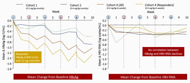 HBcrAg, HBV-RNA Declines in A Phase 2a Study Evaluating the Multi-Dose Activity of ARB-1467 in HBeAg-Positive and Negative