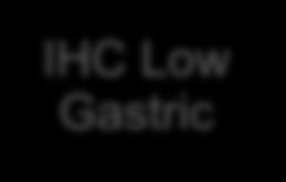 Gastric IHC Low Gastric IHC Negative Gastric