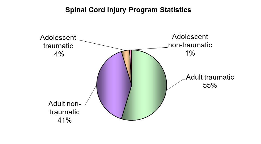 Adult Patient Statistics by Age and Gender In 2012, 301 adult patients were discharged from the Spinal Cord Injury Program. The average age of a patient with a non-traumatic spinal cord injury was 55.