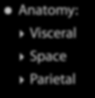 Pericardium Anatomy:
