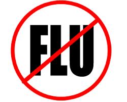 How Does the Flu Spread? Spread from person to person through large particle respiratory droplets. Adults shed virus from the day before symptoms begin.