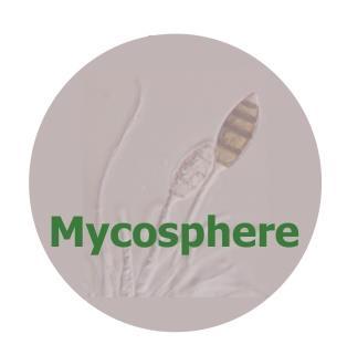 Mycosphere 7 (6): 820 827 (2016) ISSN 2077 7019 www.mycosphere.org Article Mycosphere Copyright 2016 Online Edition Doi 10.