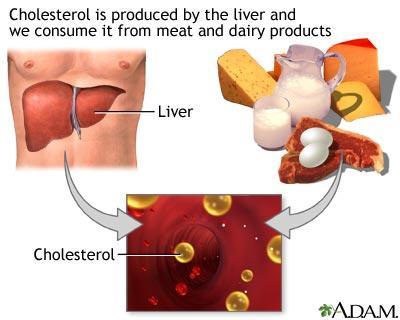 TOTAL CHOLESTEROL HDL + LDL (+ other minor sources) = Total Cholesterol It is not fat, but a fat-like substance,
