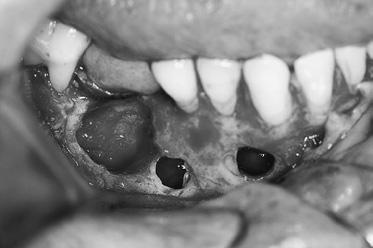 cavities Fig.