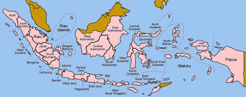 Indonesia (2009) Number HIV+: 314,000 (<0.