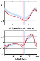 Hamstrings Muscle Length and Velocity Role of the Hamstrings in Crouch Gait
