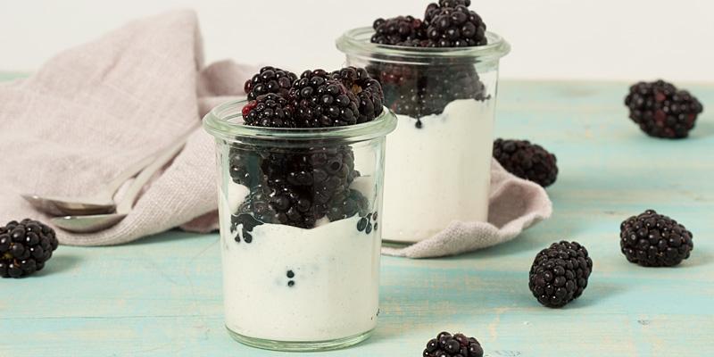 Cottage Cheese Parfait Prep time: 5 min Cook time: 0 min 4 oz. low-fat cottage cheese ⅛ tsp. vanilla extract Dash of cinnamon 4 drops liquid stevia 2½ oz. blackberries or raspberries ¾ oz.