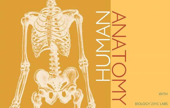 C H A P T E R 1 The Human Body: An Orientation An Overview of Anatomy Anatomy