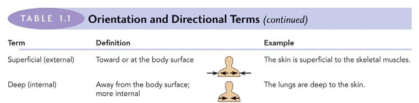 Orientation and Directional