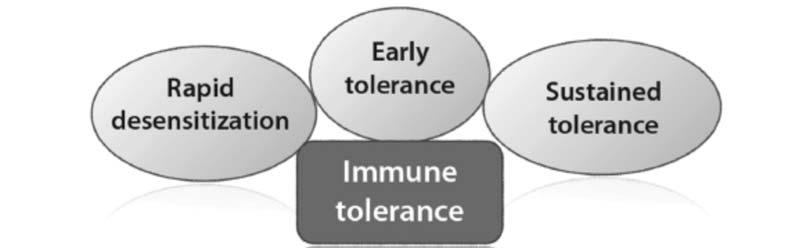 Mechanisms of Allergen- Specific Immunotherapy (cont) Jutel M, et al. J Allergy Clin Immunol. 2016;137(2):358-368.