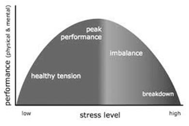 Optimal Level of Stress Eustress and Stress Standards of practice: It is critical for a mindfulness teacher to have a deep practice of their own There are times when mindfulness isn t right for