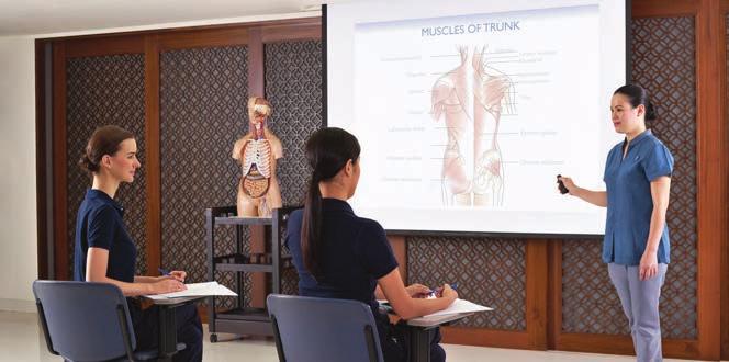 FOUNDATION 29 Anatomy and Physiology This course provides an introduction into the basic human body, providing knowledge of the structure and function of the various systems of the body including