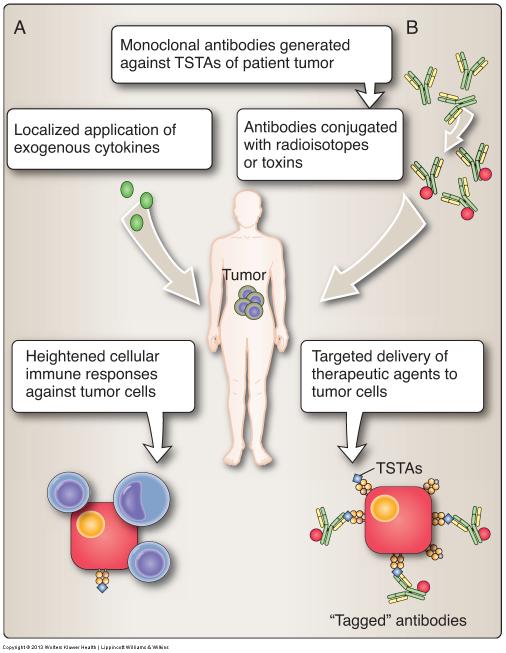 Harnessing repair and suppression pathways Cancer immunotherapy is based on enhancement of the natural immune