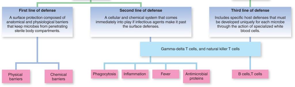 12.1 Defense Mechanisms of the Host Immunity: Ability to.