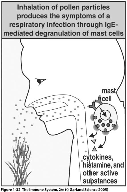 induced Pathogen caused deficiencies Figure 1-32 Cells