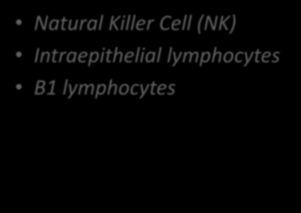 5c Lymphocytes Natural Killer Cell (NK)