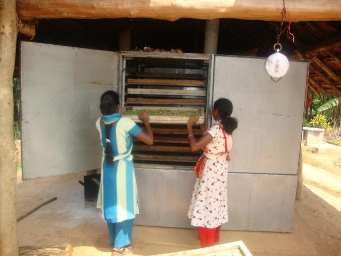 Enterprises by women in dried products Six women s groups have set up enterprises in drying marine and horticultural products using biomass based