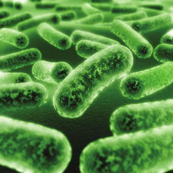 GI Health with Probiotics: The Facts from DaVinci Laboratories The human body is a walking fermentation laboratory being home to trillions of live microorganisms that live inside us in our GI tract.