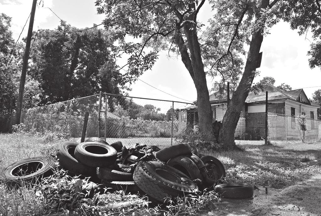 4 Blue Marble Health Figure I.1. Houston s historic Fifth Ward: dilapidated housing, discarded tires, and piles of garbage. Photos by Anna Grove.