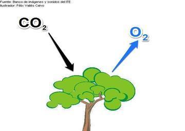 Oxygen Found in most organic
