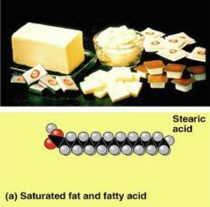 Saturated fats All C bonded to H No C=C double bonds Long,