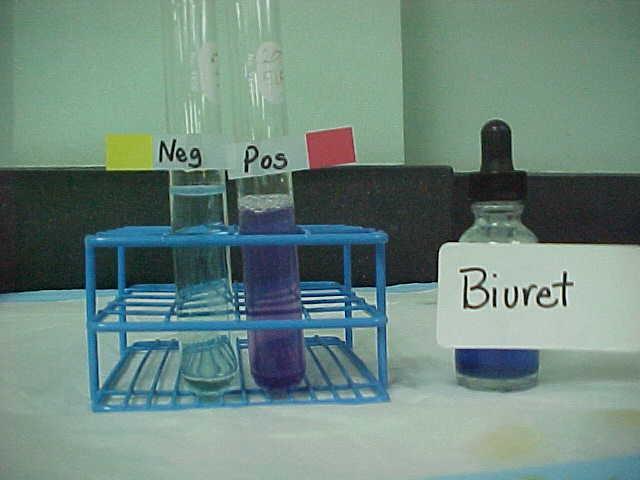 Protein test Used Biuret reagent to test solution for proteins.