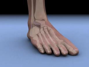 Ultrasound Foot and Ankle Pathology Disclosures