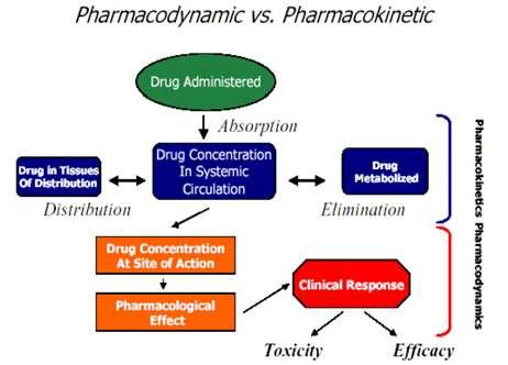 http://significantdruginteractions.weebly.com/basic-concepts-of-drug-interactions.html.