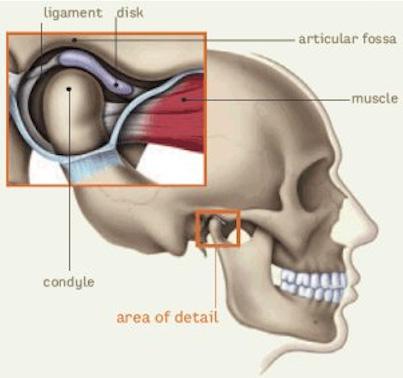 TMJ Disorders: Temporomandibular Joint Disorders The mandible, or jaw, is the movable part of the head involving important functions of daily life, including chewing, swallowing and speaking.