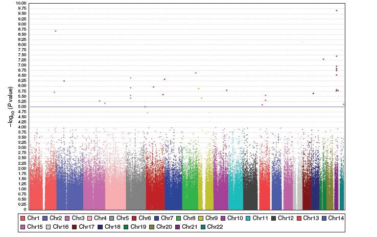 RESULTS FROM GWAS