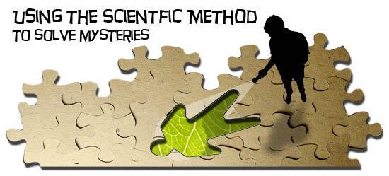 The Scientific Method - a step by