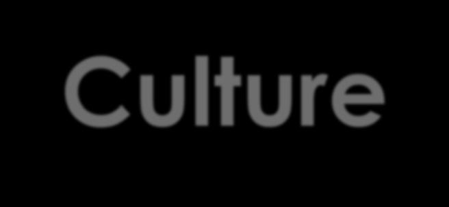 The 4 C s Culture Care