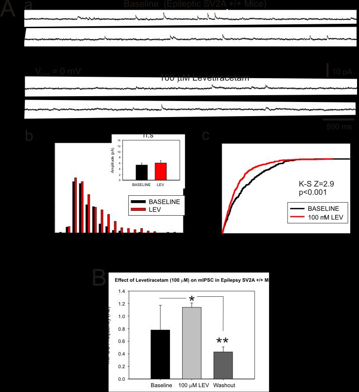 Fig. 15. Levetiracetam (LEV) enhances inhibitory synaptic transmission onto dentate granule cells in pilocarpine-treated chronic epileptic SV2+/+ /SV2B+/+ mice. A.
