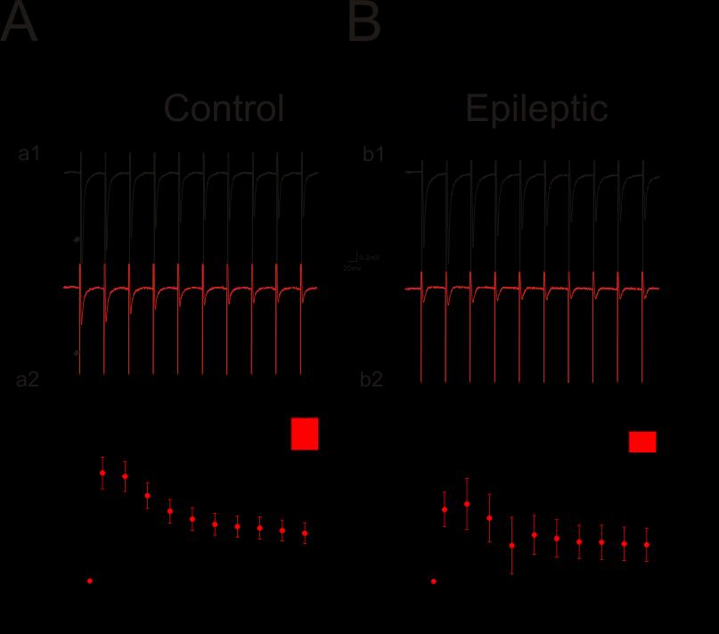 relative changed in baseline versus LEV treatment for each fepsp in the train revealed that LEV significantly reduced the amplitude for all individual fepsps in the train (Table 2.2).