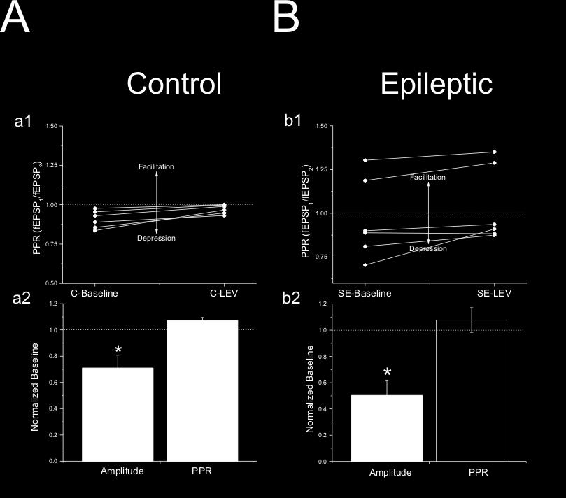 during the duration of the train in control versus epileptic group. Although LEV treatment reduce the overall fepsp amplitude (Fig.