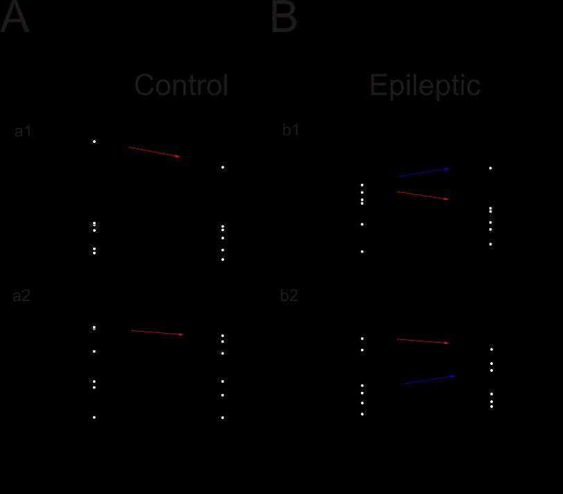 out 12 slices exhibited paired-pulse facilitation i.e. 2 slices in baseline SE non-treated group, Fig. 20B b1) and 2 slices in LEV treated epileptic group (Fig.