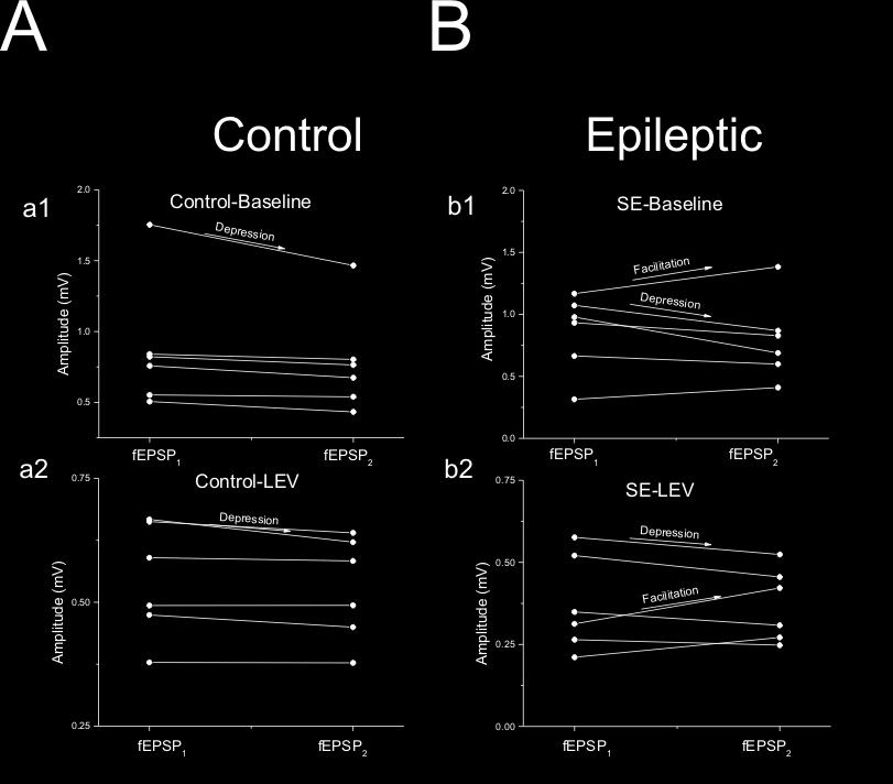 Graphs representing changes in amplitude of first (fepsp1) and second (fepsp2) responses in the train of stimuli in both control (A) and epileptic groups (B) after treatment of slices with 300 M LEV.