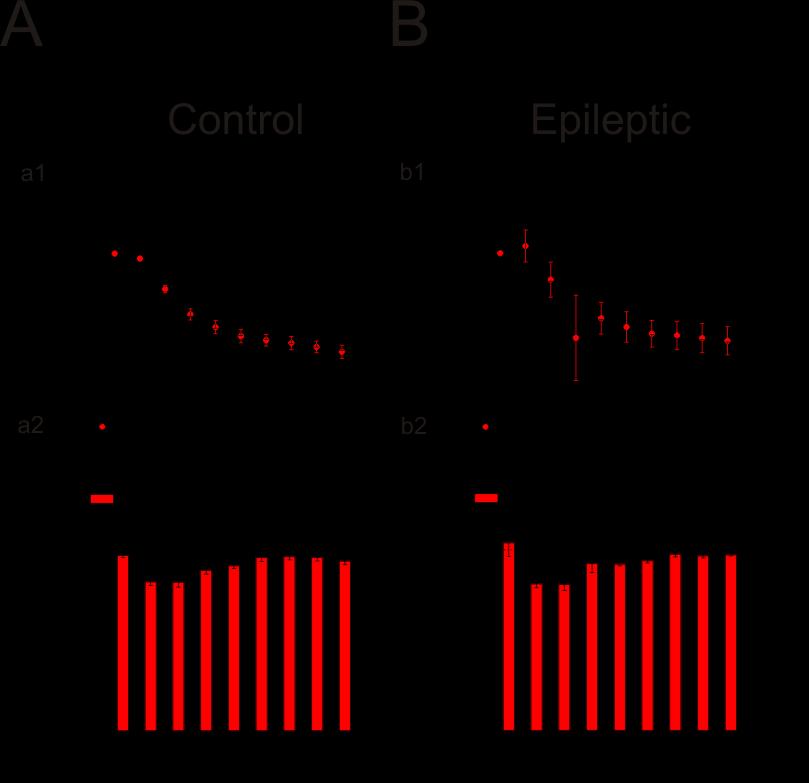 analyzed the effect of LEV on the PPR on each consecutive fepsp in the train for both control and epileptic group. As represented in graphs of Fig.