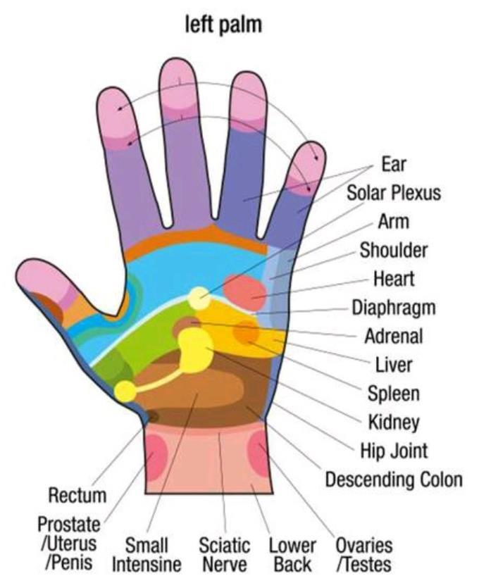 Hand reflexology uses a completely different technique to foot reflexology.