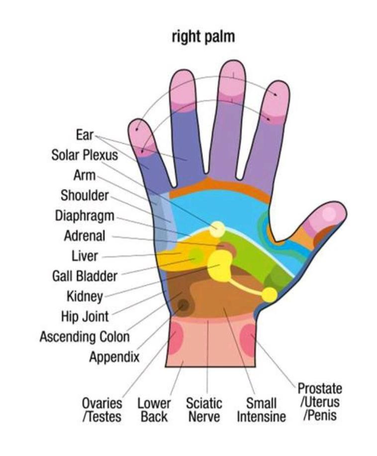 Starting with the right foot or hand (as many do), since most of us are righties (meaning right-handed), it s this side of the body that often holds the most tension.
