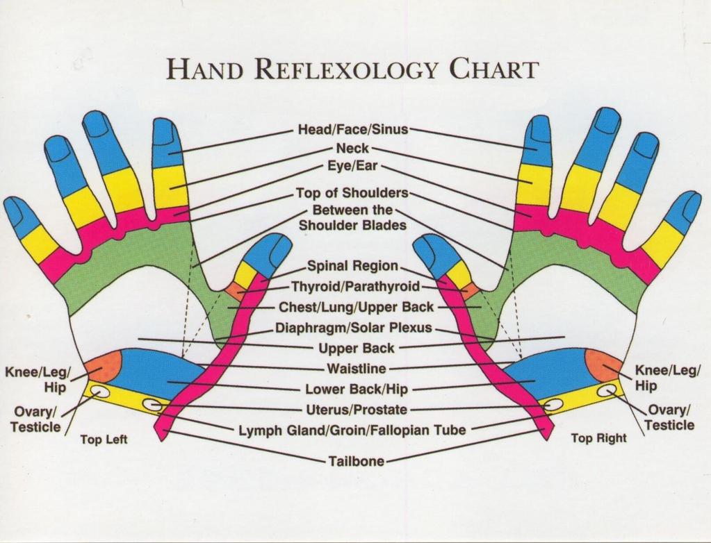 The fingers represent everything from your neck up. It represents the glands, brain, skull, facial skin, ears, hearing and sight... Much like the toes represent the same areas.
